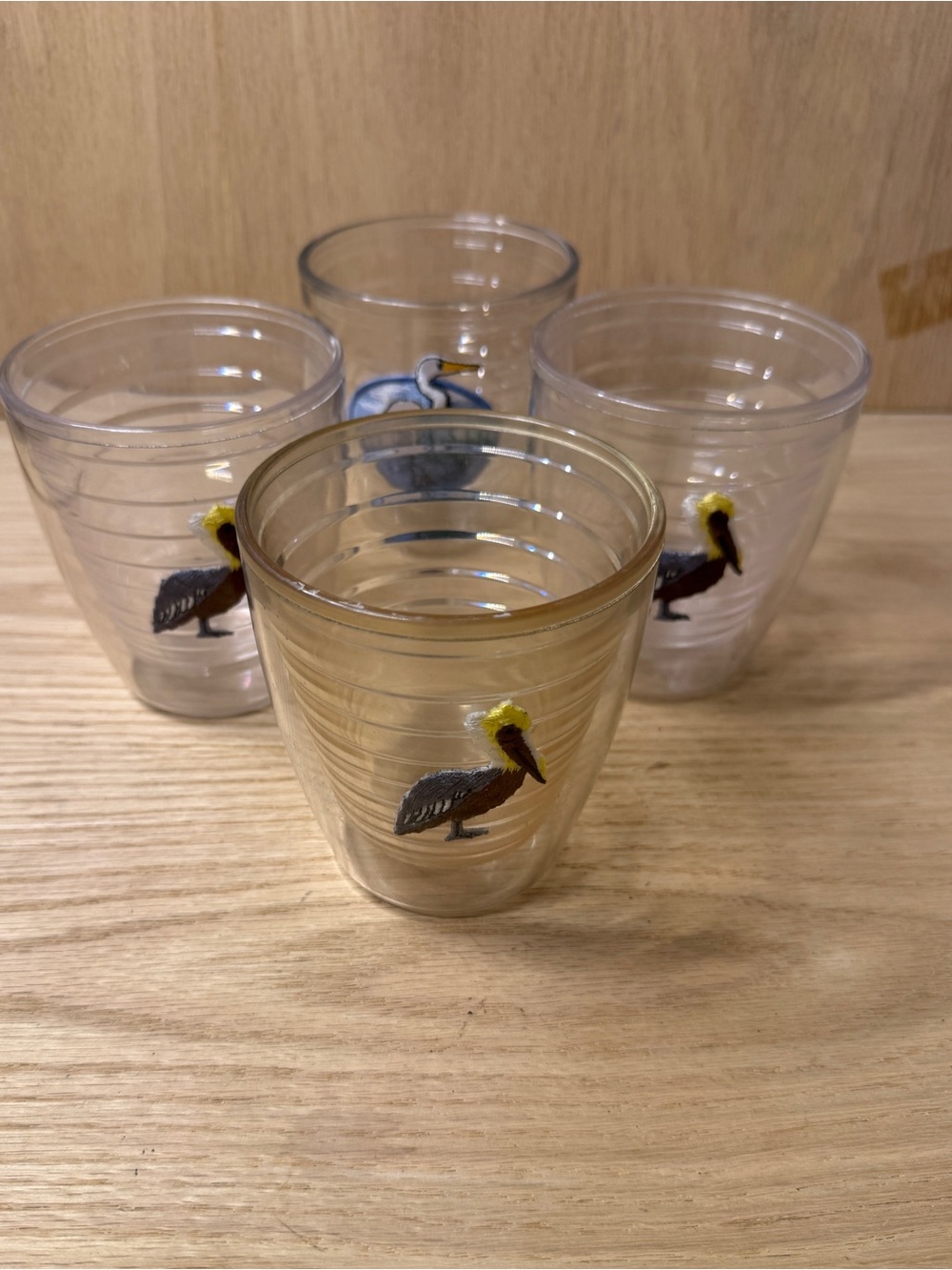 TERVIS TUMBLERS ~ Vintage bird theme